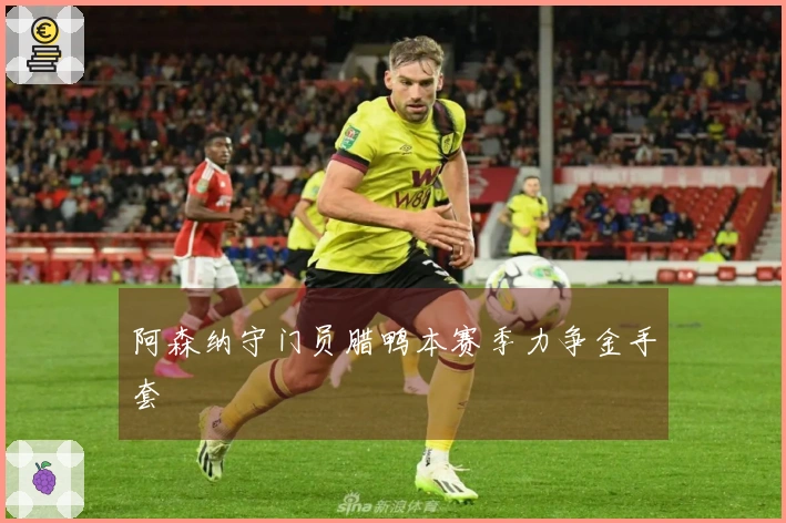 阿森纳守门员腊鸭本赛季力争金手套